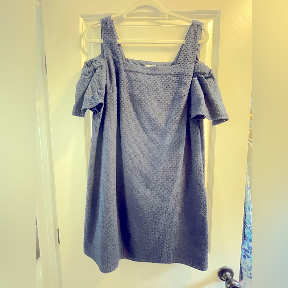 JCrew Factory Dress